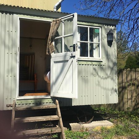 Posh Huts Farmstay Falstone Экстерьер фото