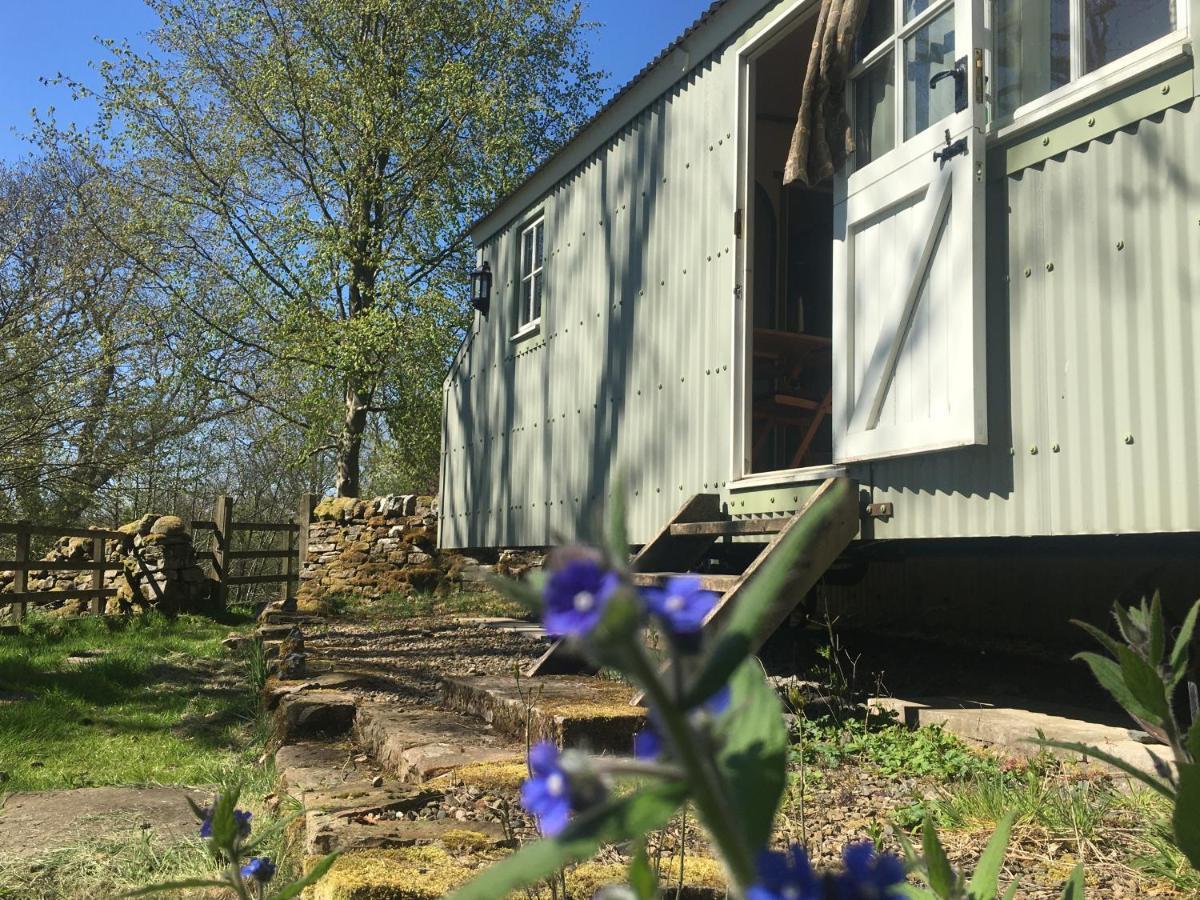 Posh Huts Farmstay Falstone Экстерьер фото