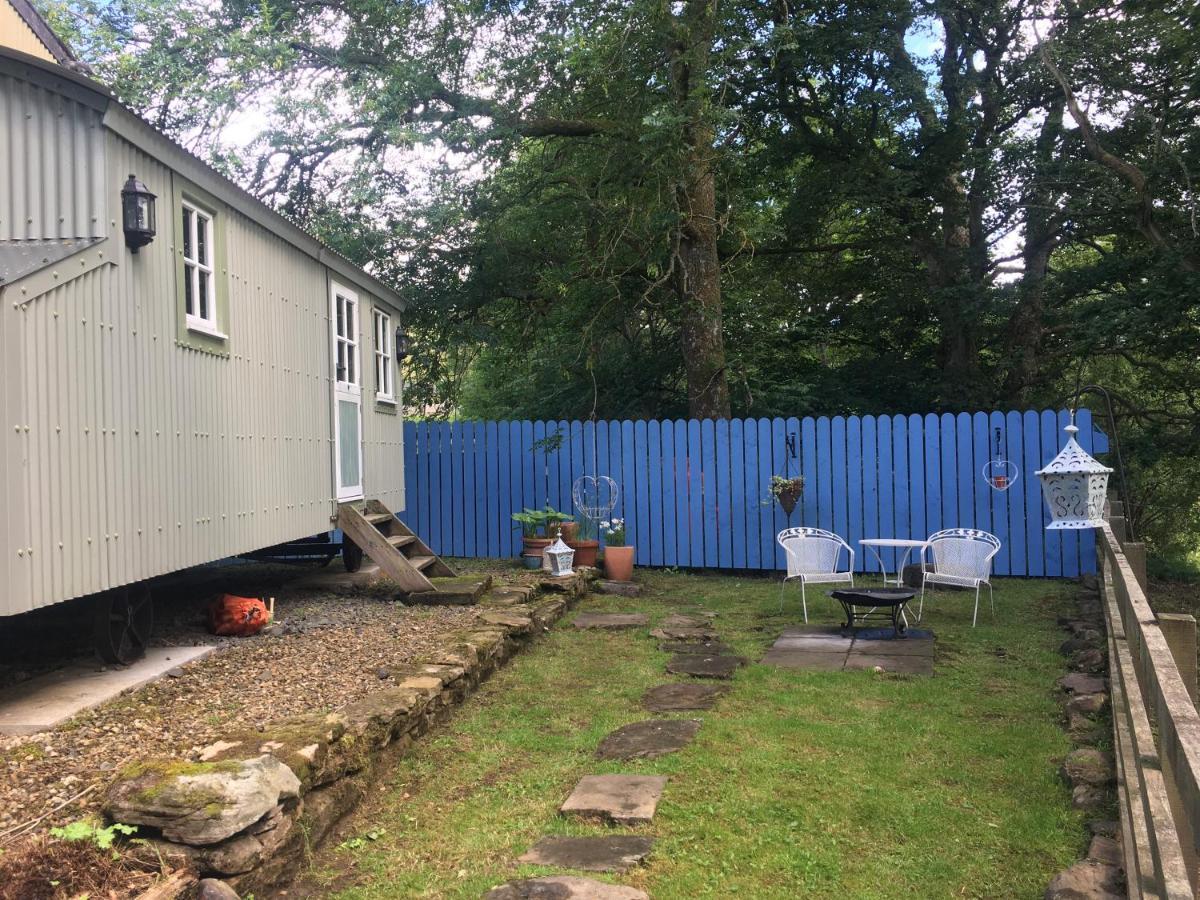 Posh Huts Farmstay Falstone Экстерьер фото